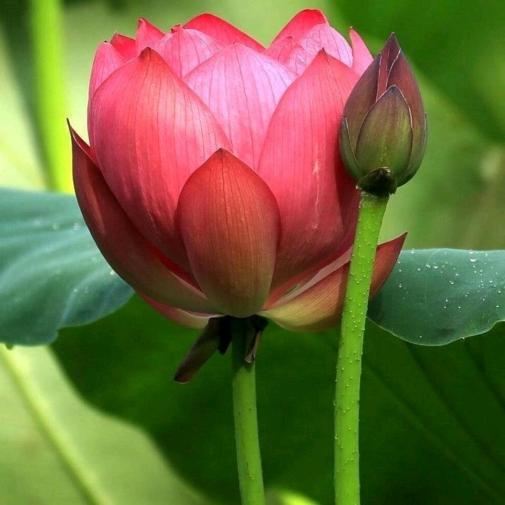 🇨🇳🥇松桃扬帆办公家具