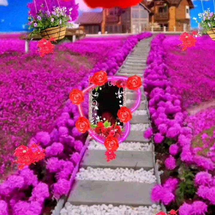 赵良勤