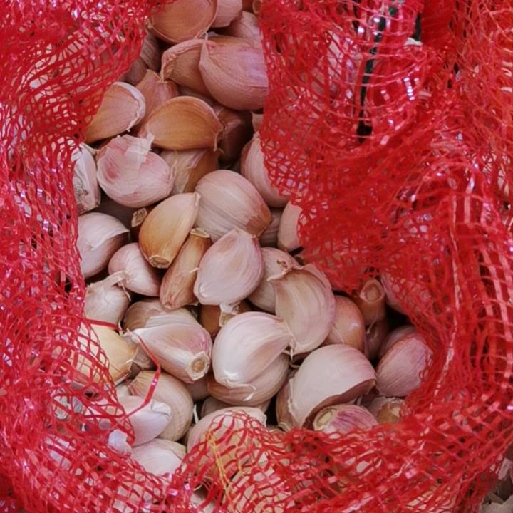 心正讲大蒜