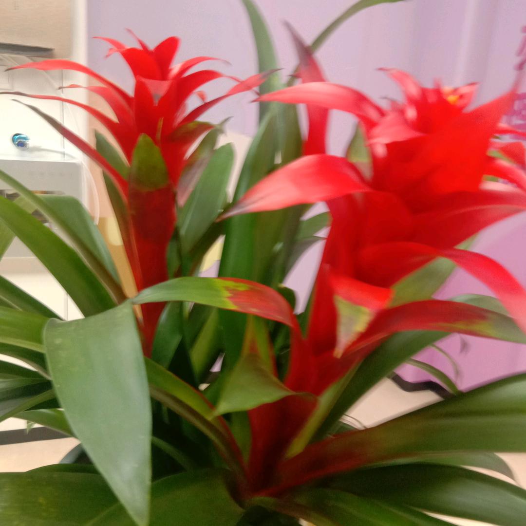 @2022年12月17日难忘