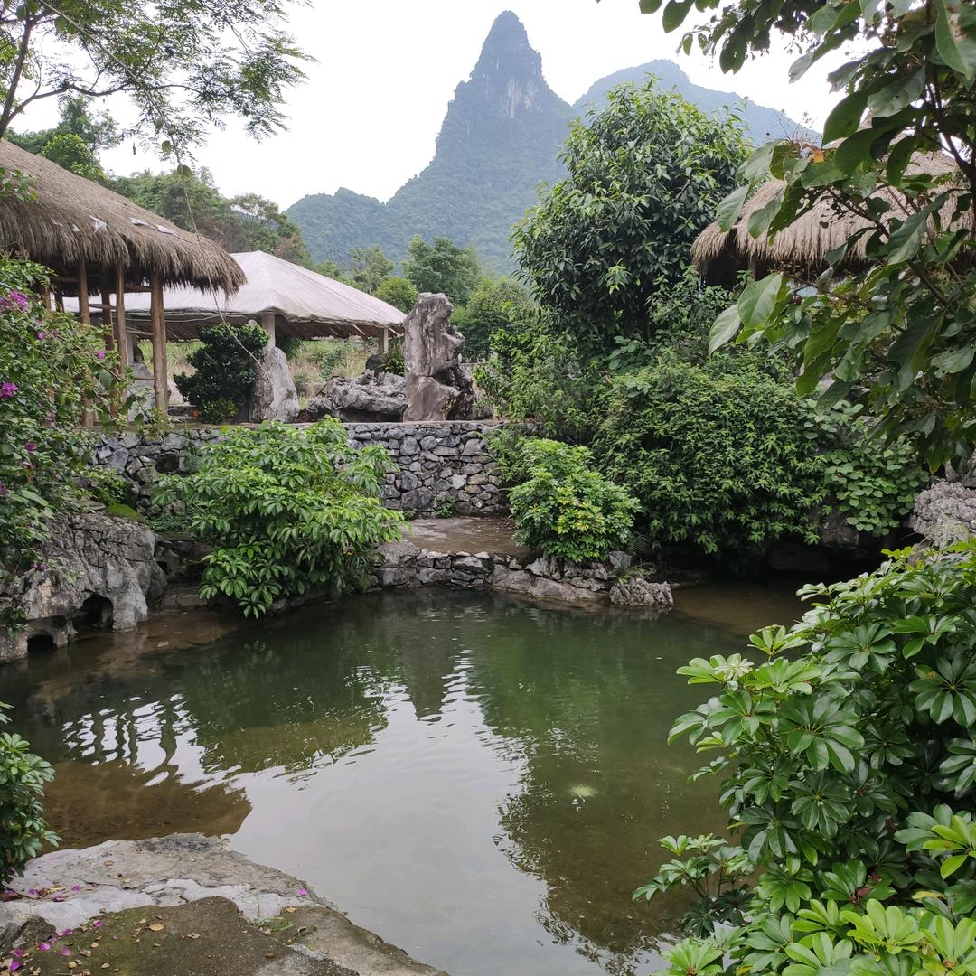 农夫山前有点田.