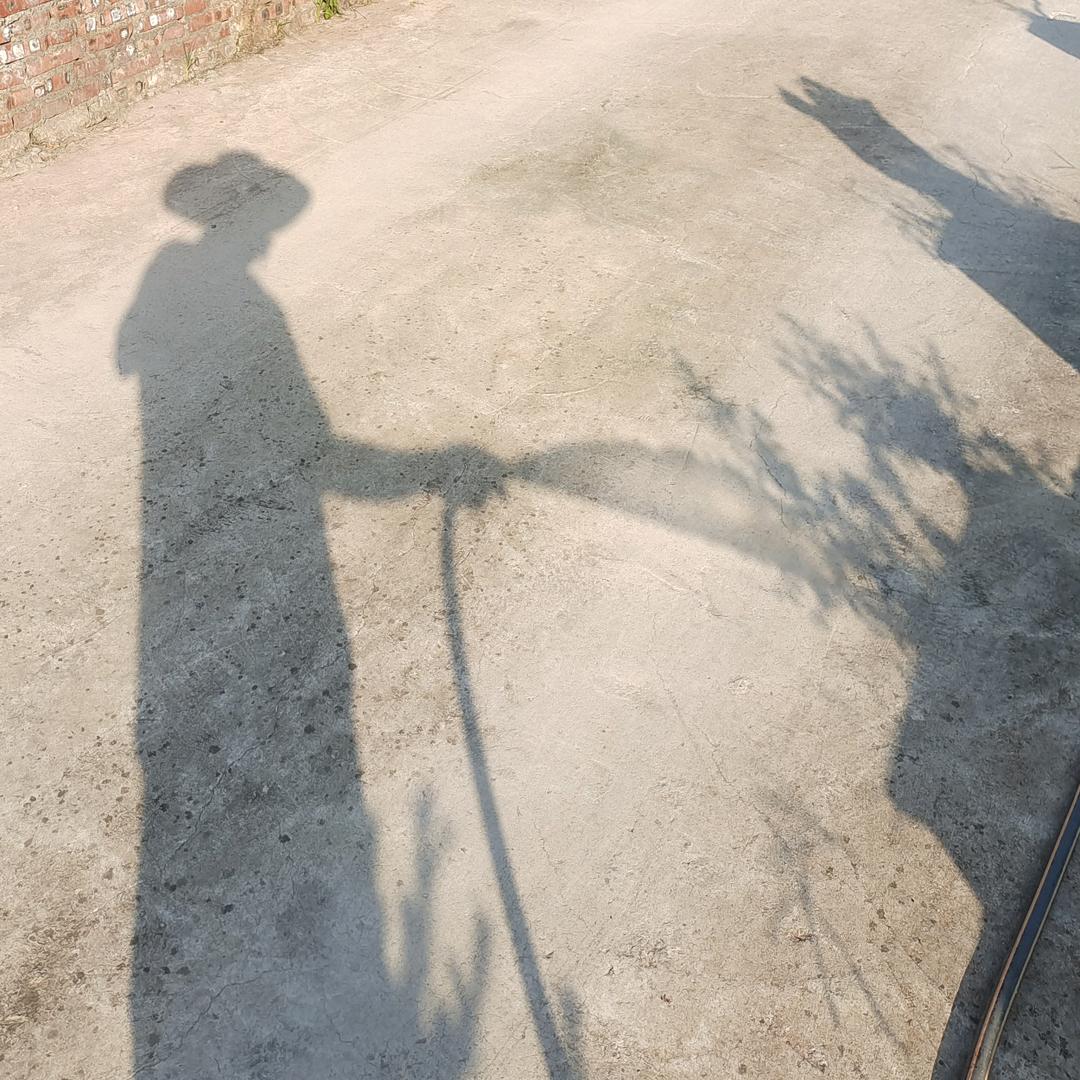 庸懒院