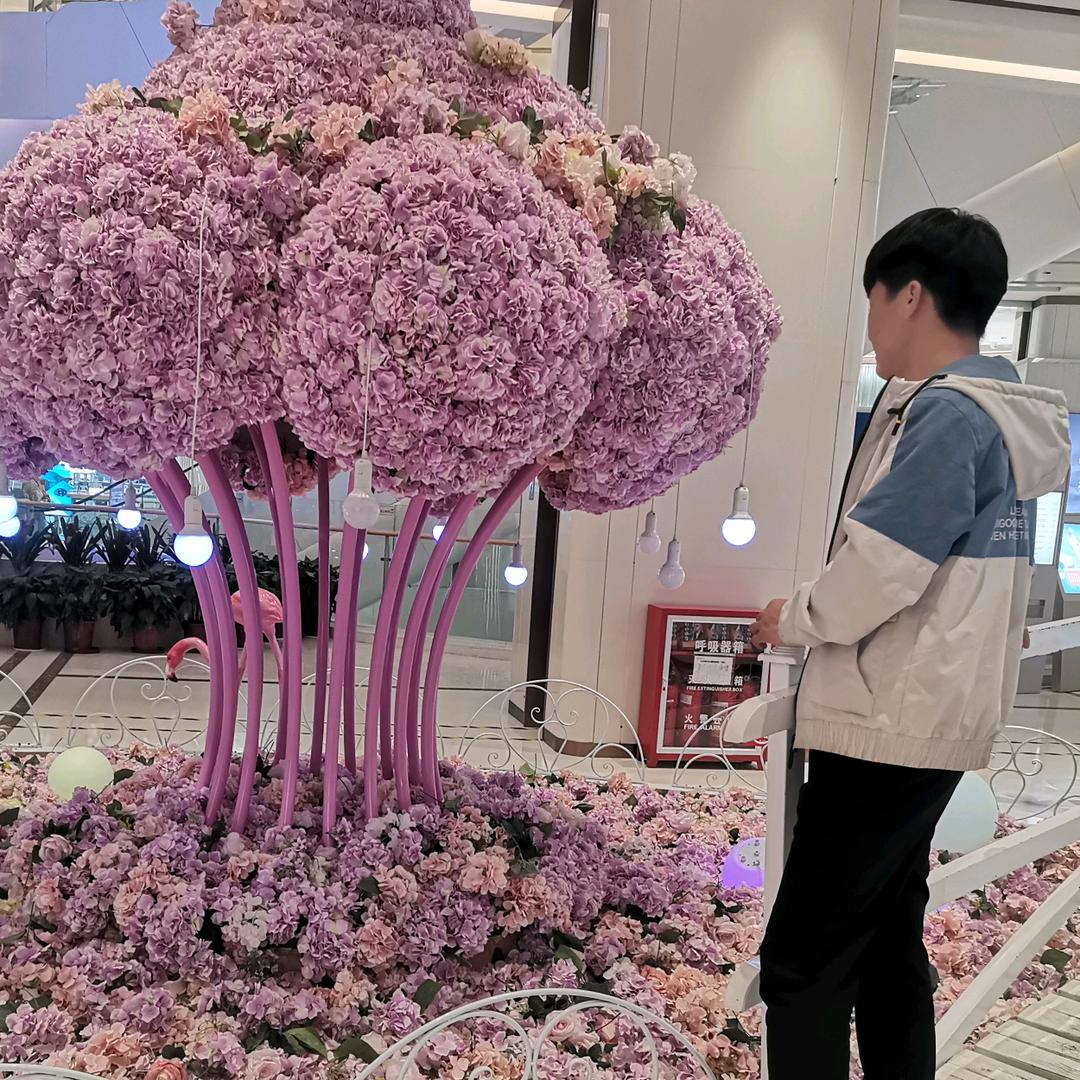 家电维修，清洗，安装。