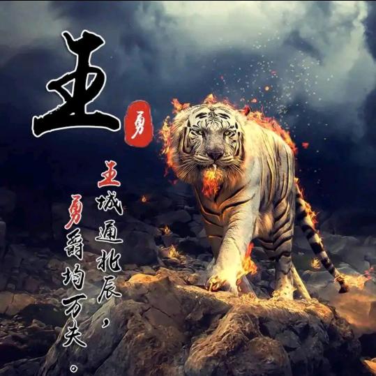 王禹昊