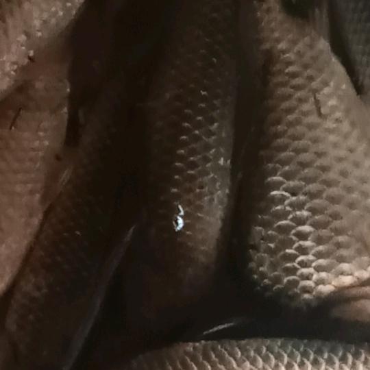 骑着毛驴走天下