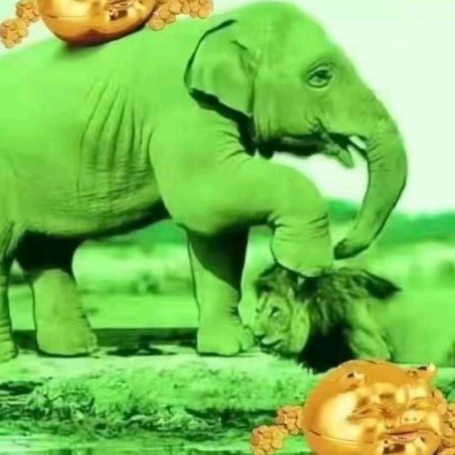 英子