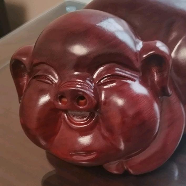 快乐🐷🐷一直在奔波！