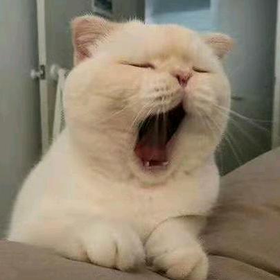 L.Y