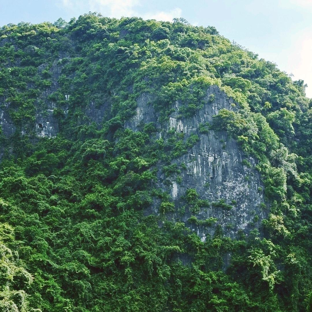 唐朝梦