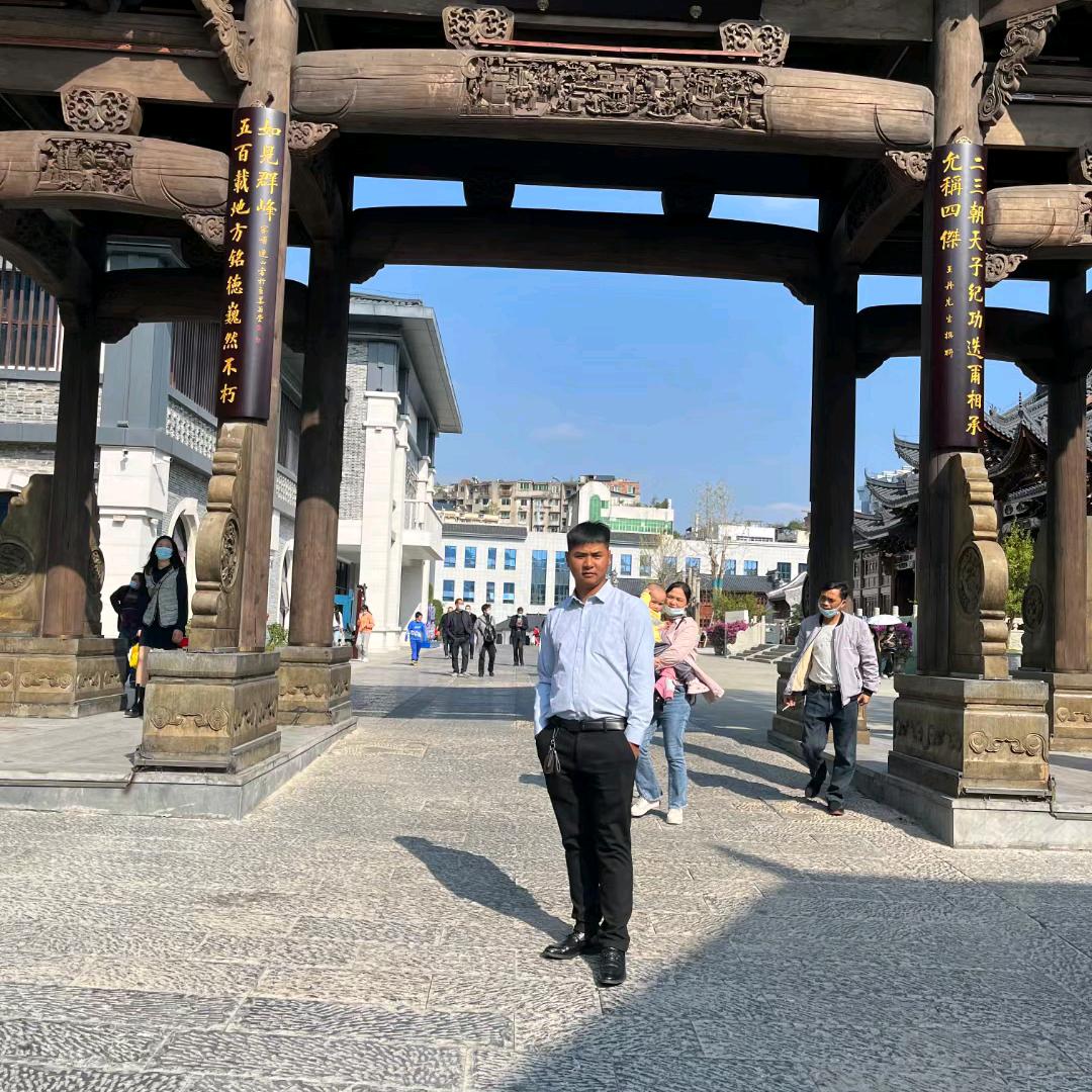 飘逸小尘埃