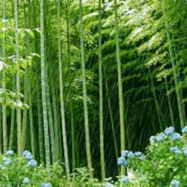 勤学