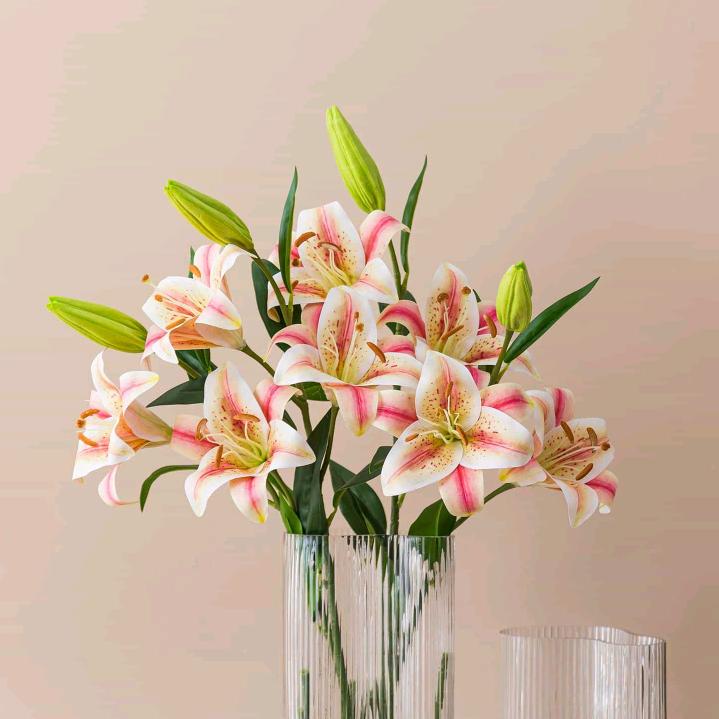 不～🉑️～言～说