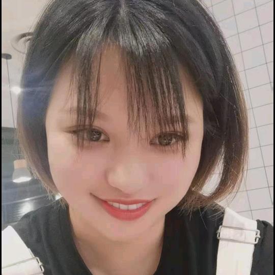 七秒记忆的鱼