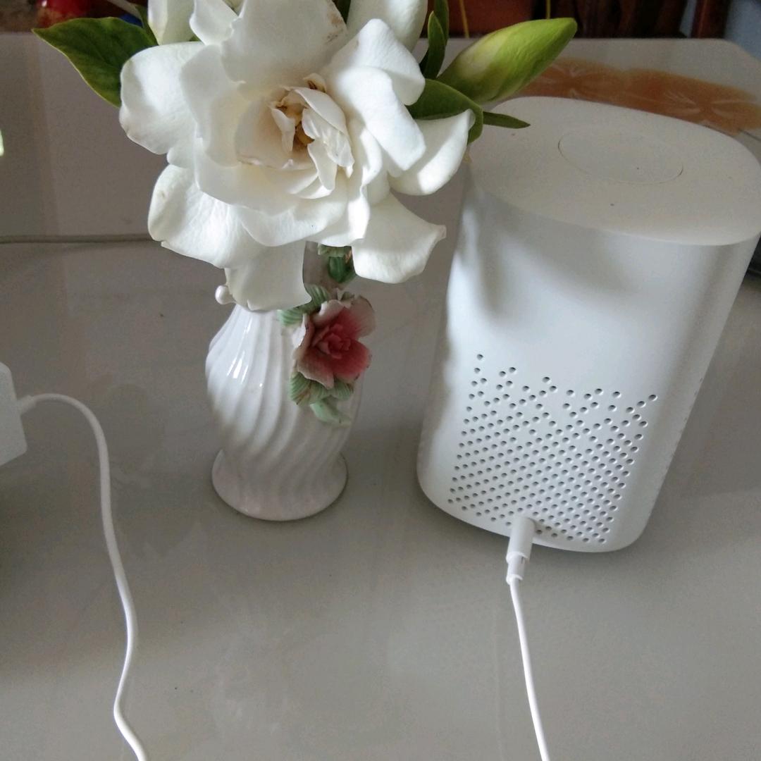 霸王别姬