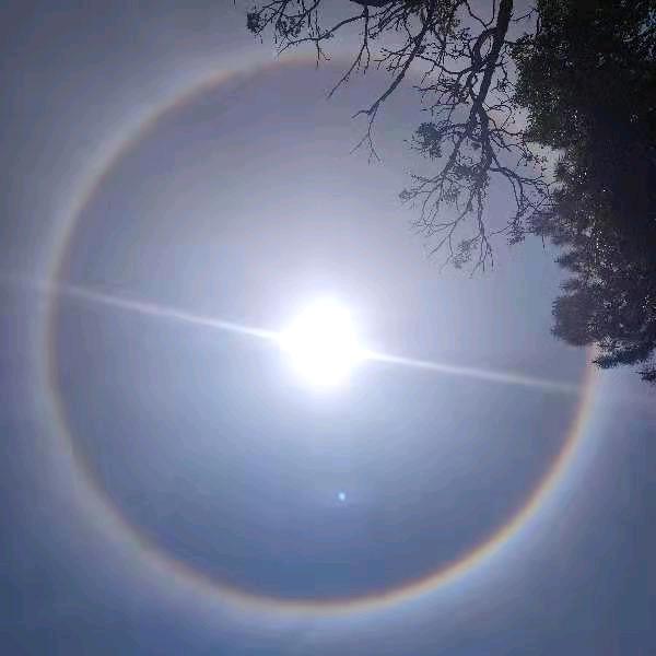 一个努力奋斗者