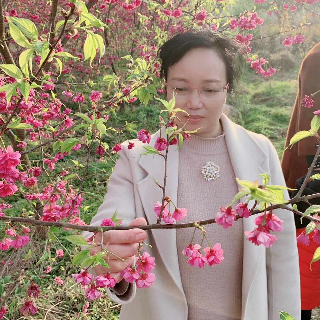 一见粽情连城县姑田富硒红米粽