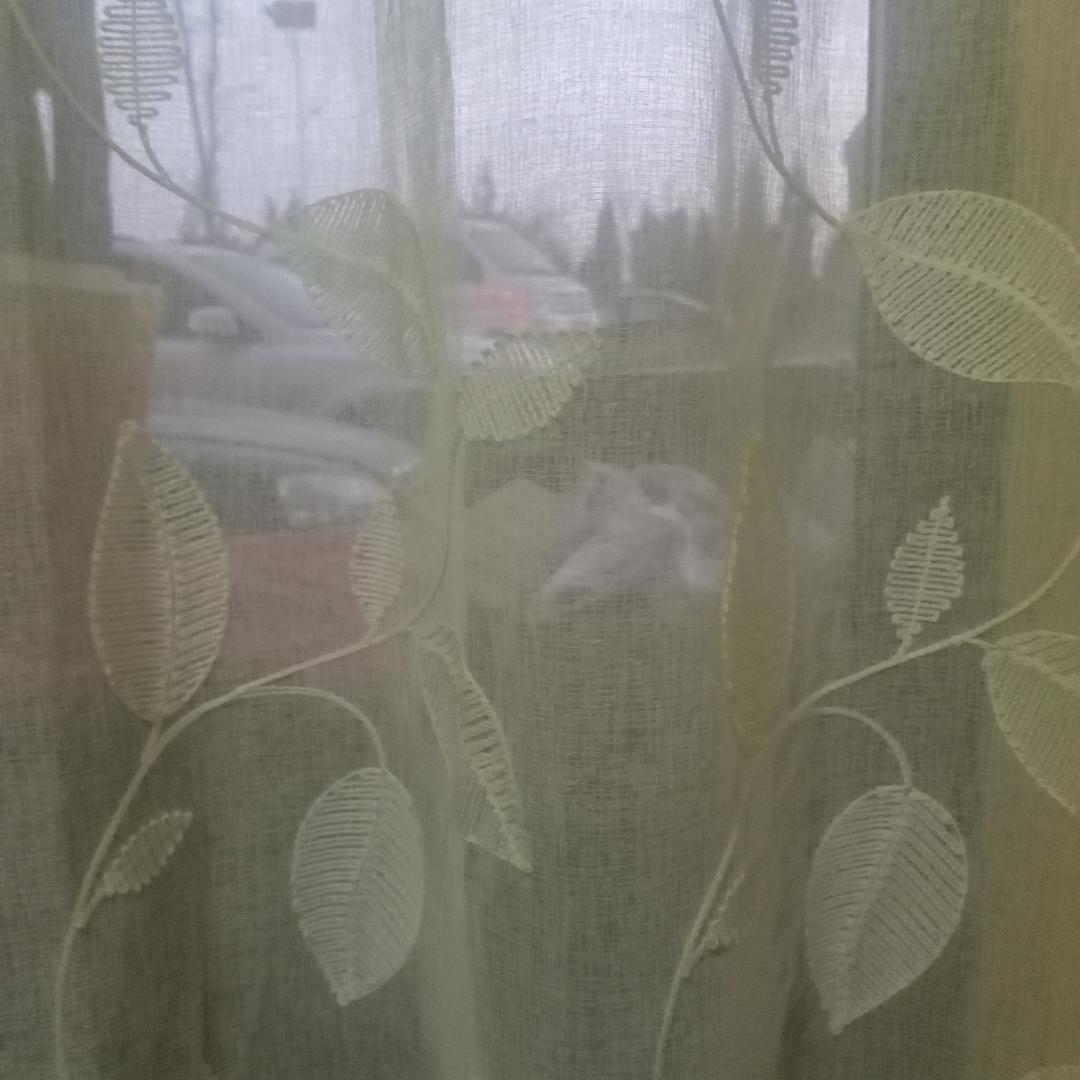 专一