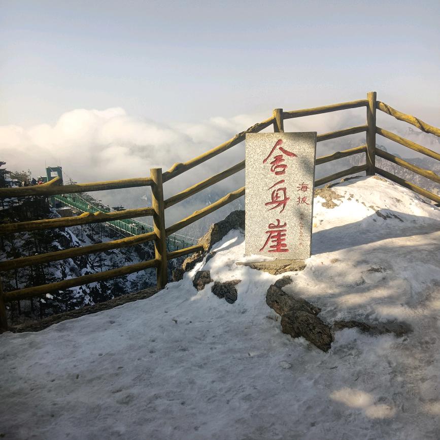一 只 小 锦 李