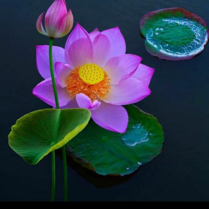 家有儿女。。。。。