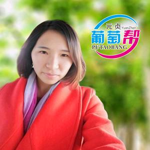 阳光葡萄小妹