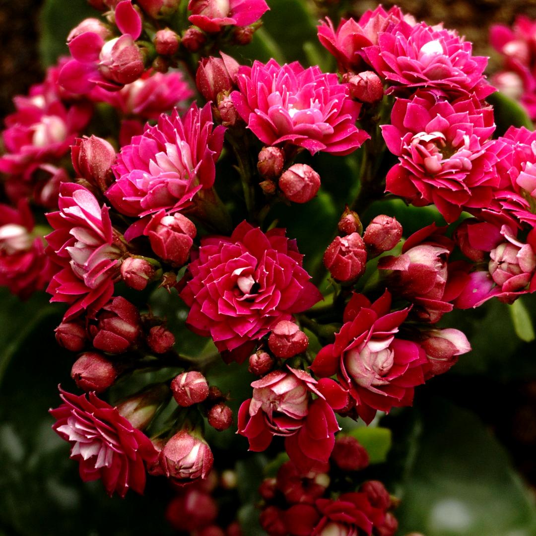 我爱生活爱分享