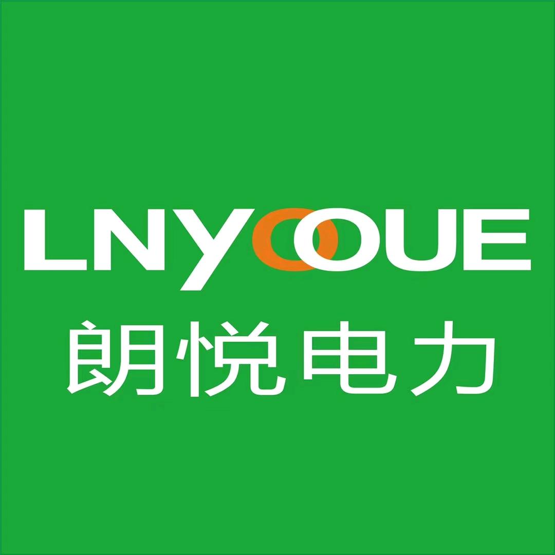 朗悦电力科技—老王