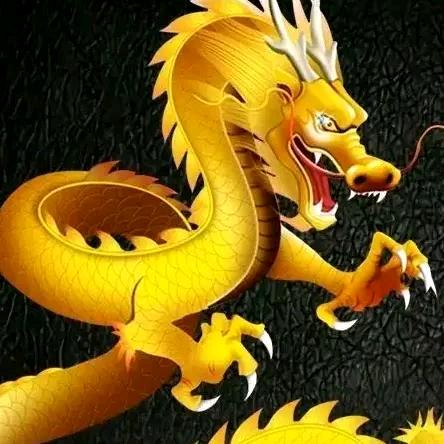 龙哥忘了你是谁