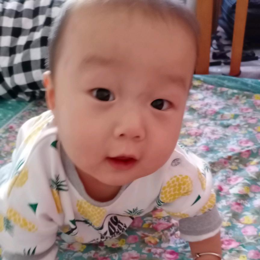 萌娃变小小帅哥