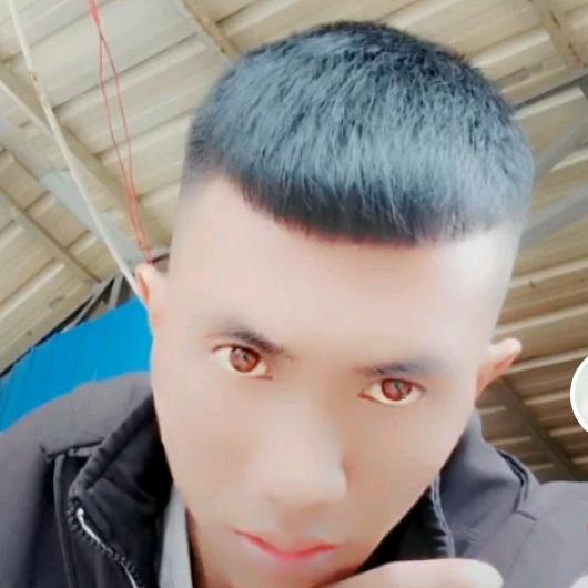 🌳🎋奋斗单身的我🎋🌳