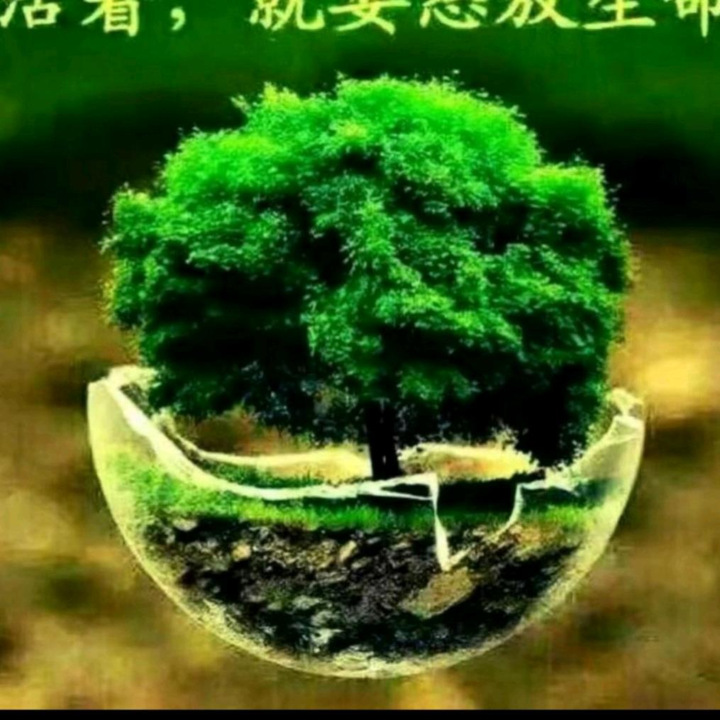 善解人意