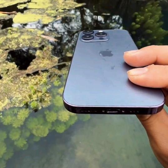 顺哥