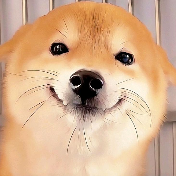 孔武的柴务部
