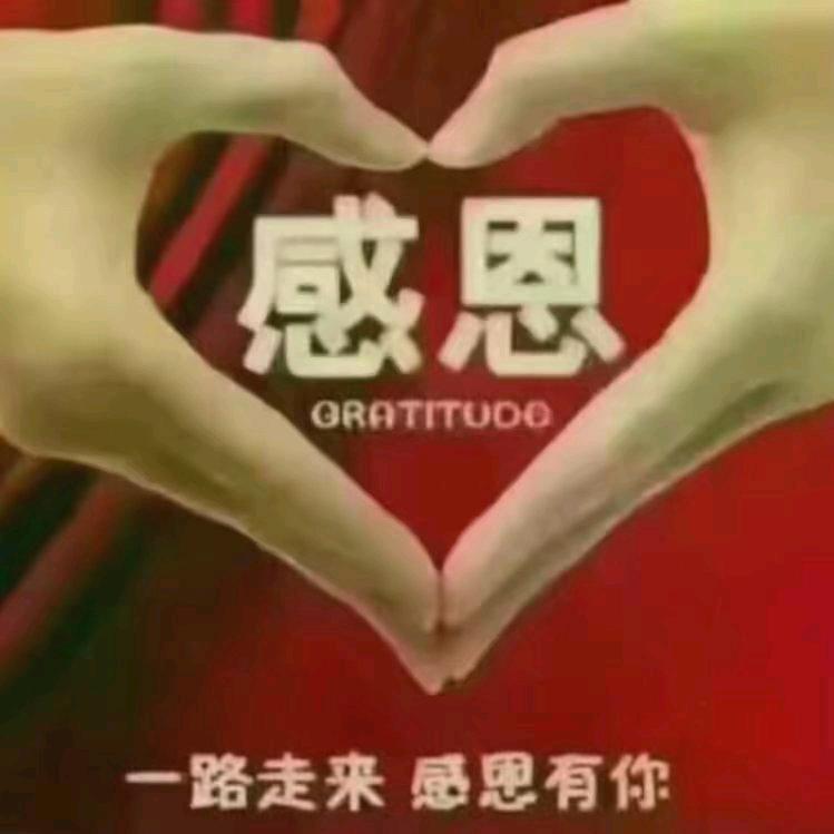 陪伴💗是金