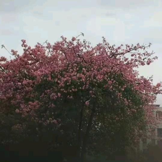 用户6883899956921