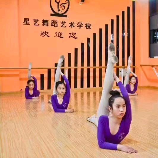 舞之天下