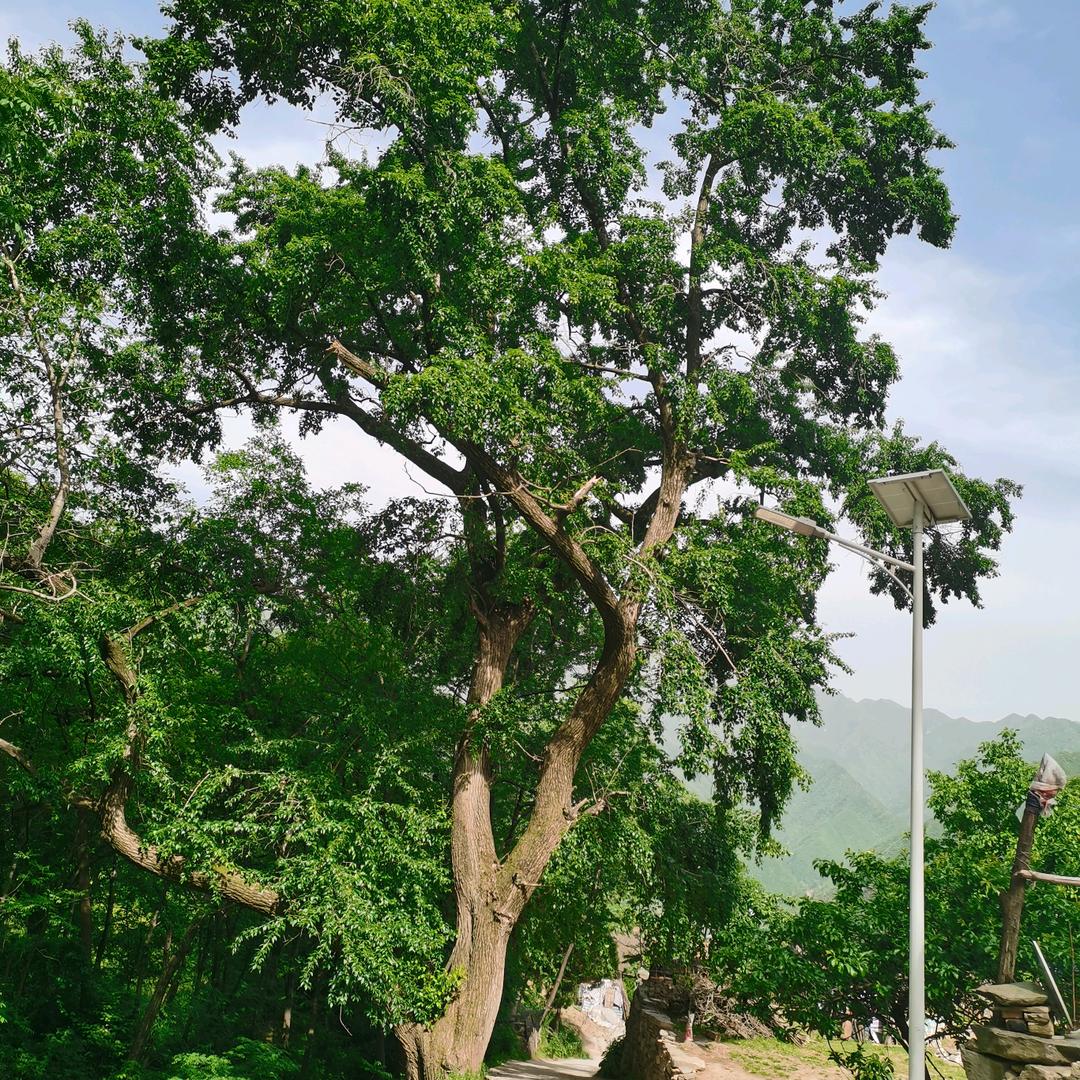 🚬᭄ཽ࿆低調ঞৣঁ大叔࿐᭄ོ