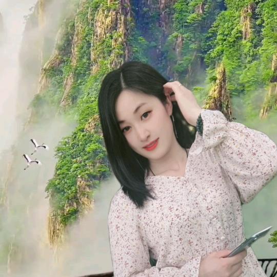 玲子爱分享