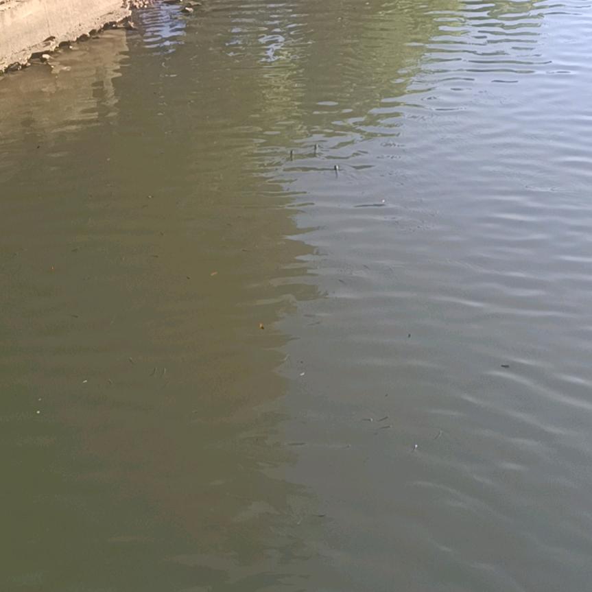 水果便宜