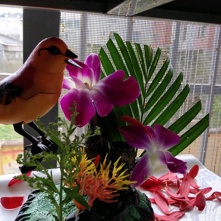 忘不掉的一切 ao  qun