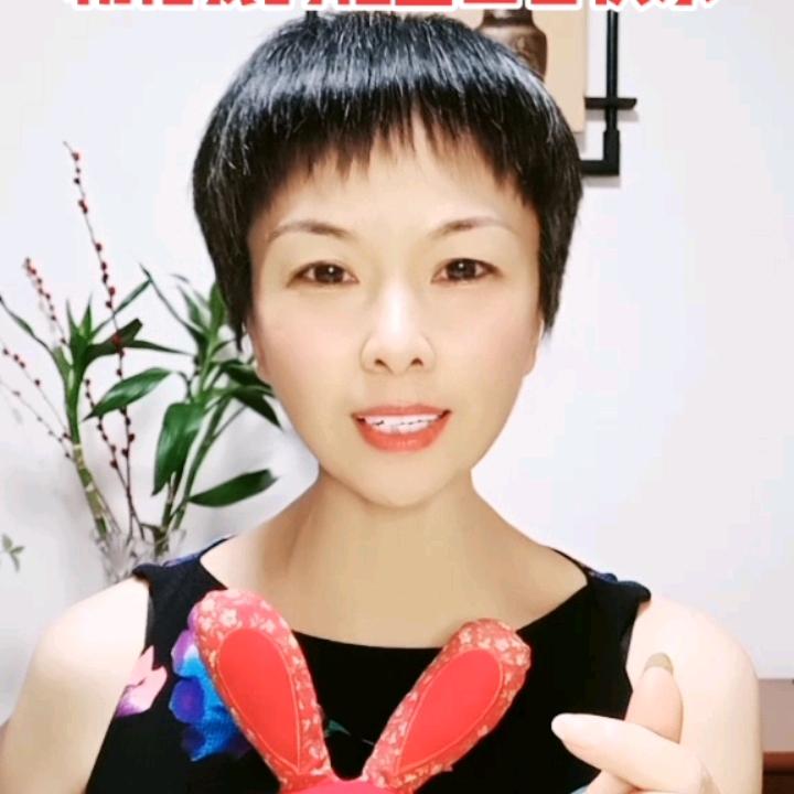 绽放玫瑰
