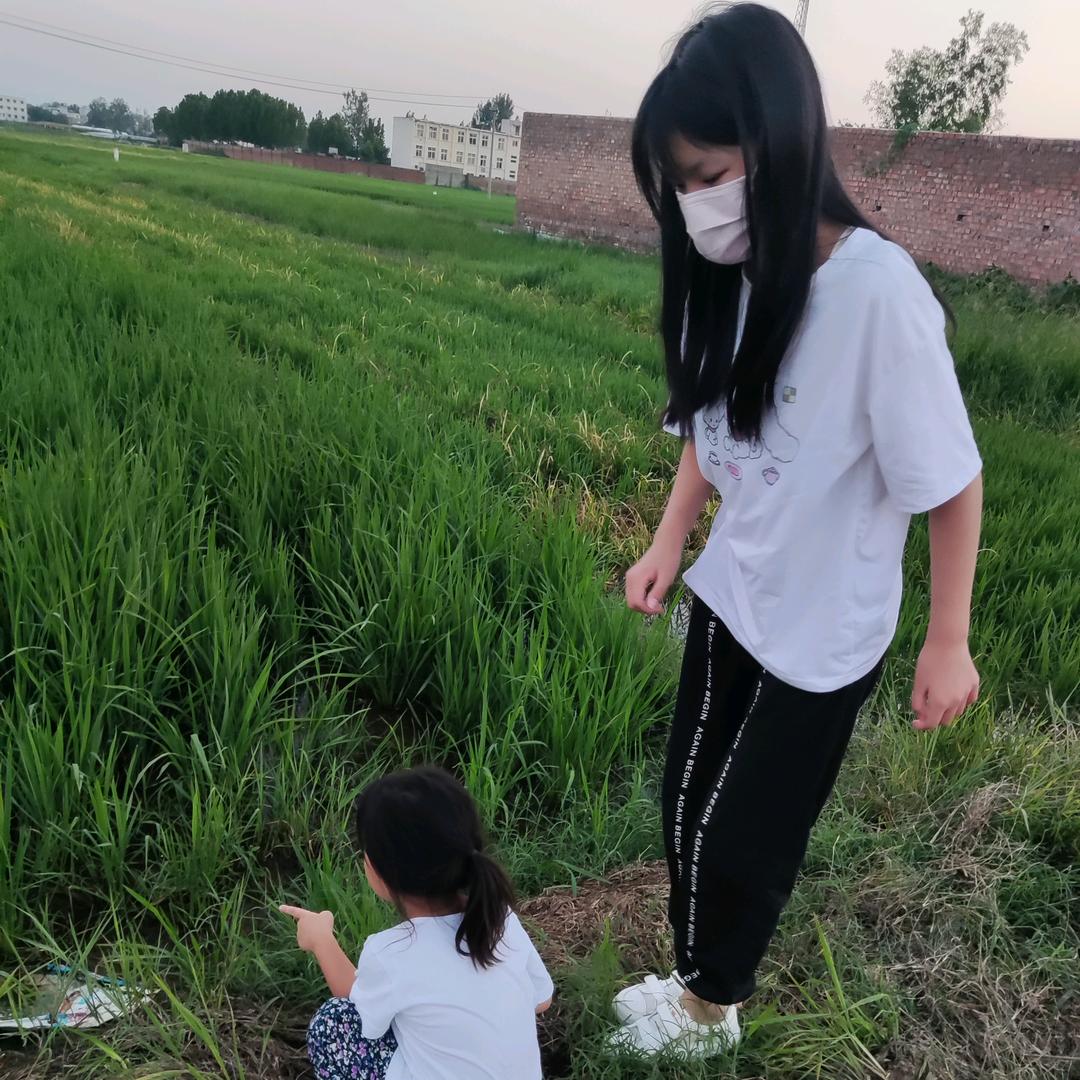 倩影qy