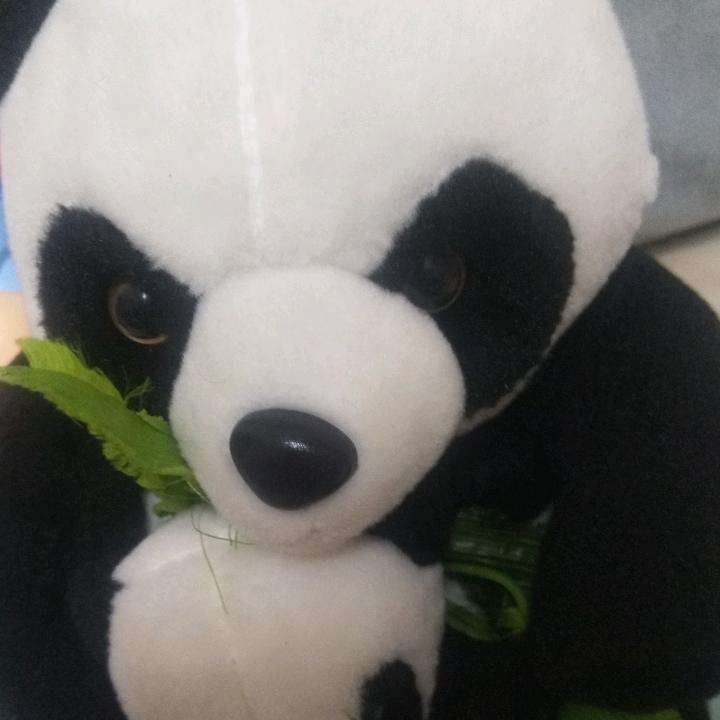 美好的阳光