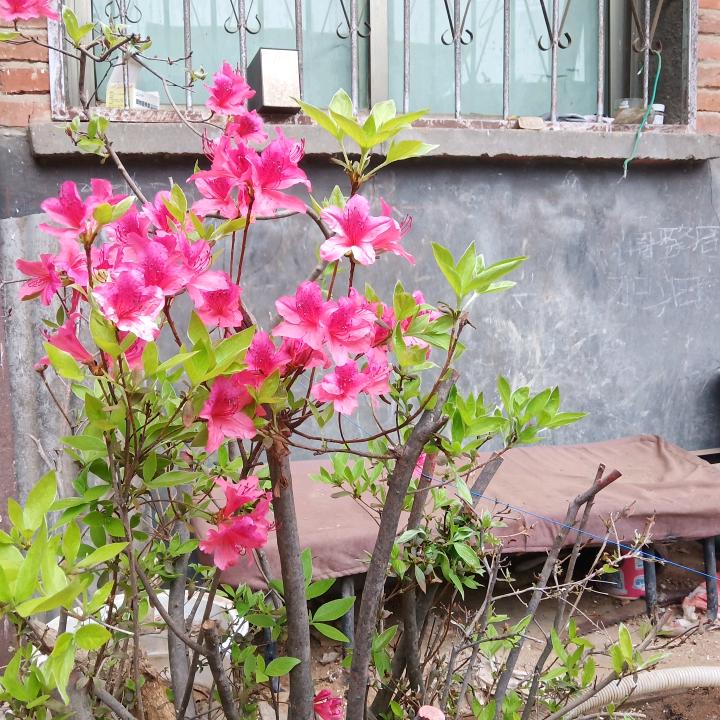 做个好人