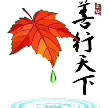 竹影听风