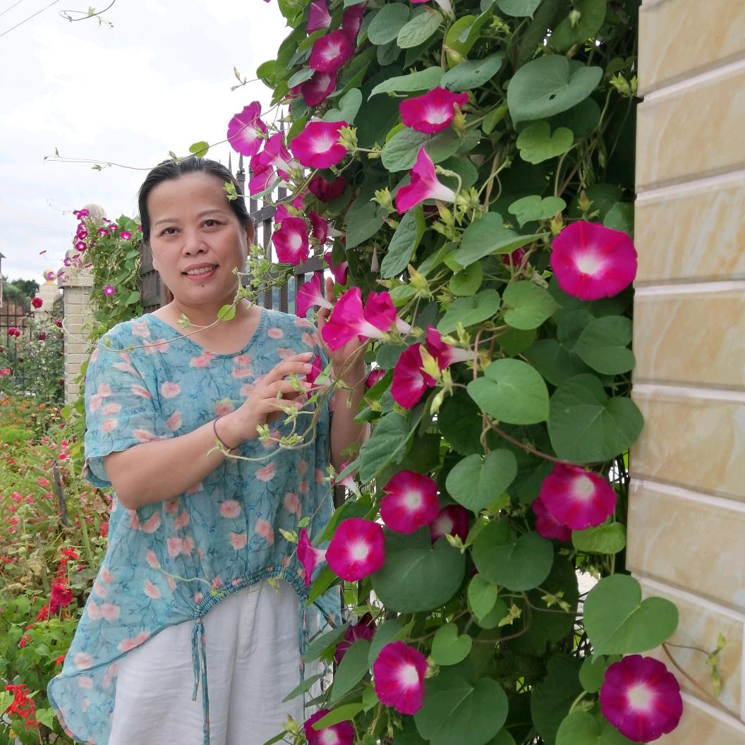 格力蓝天电器专用号