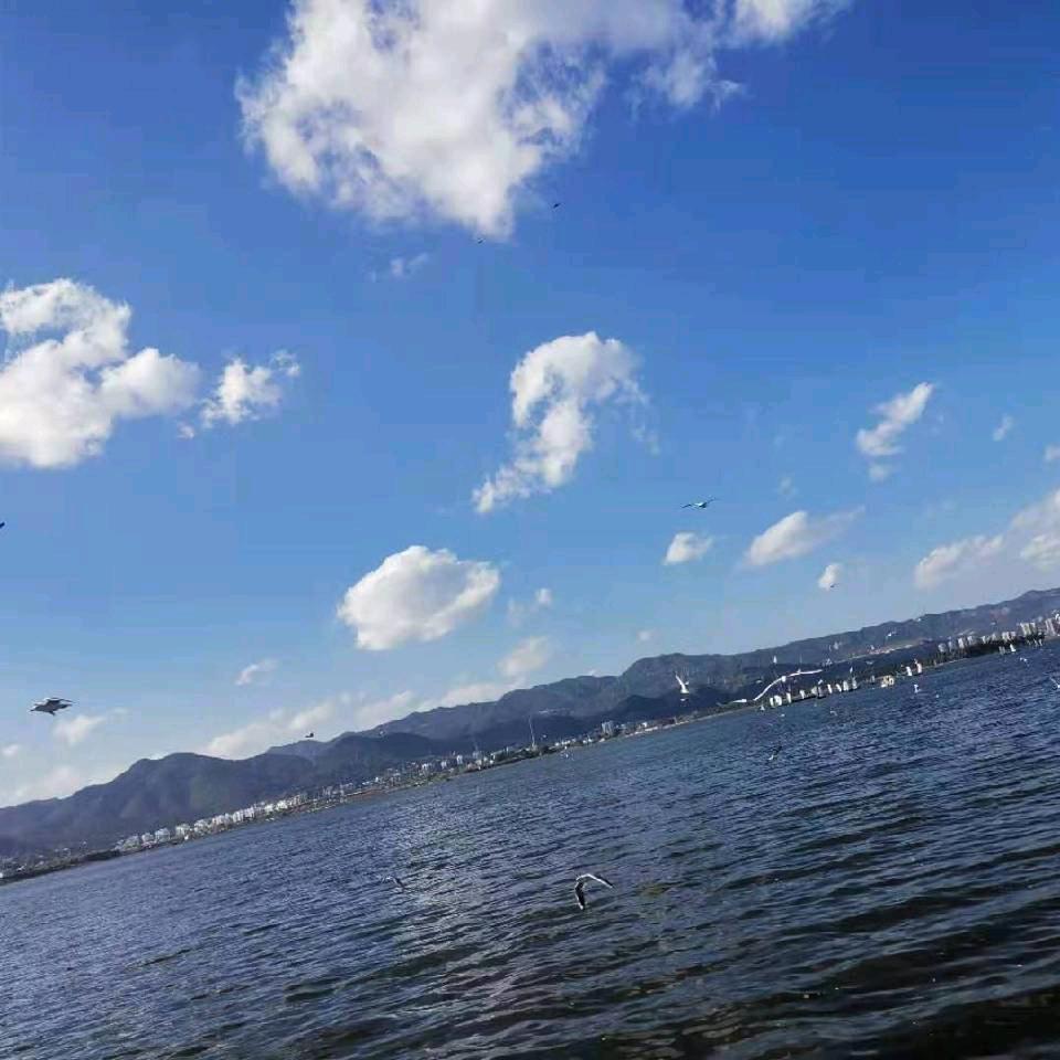云朵☁️