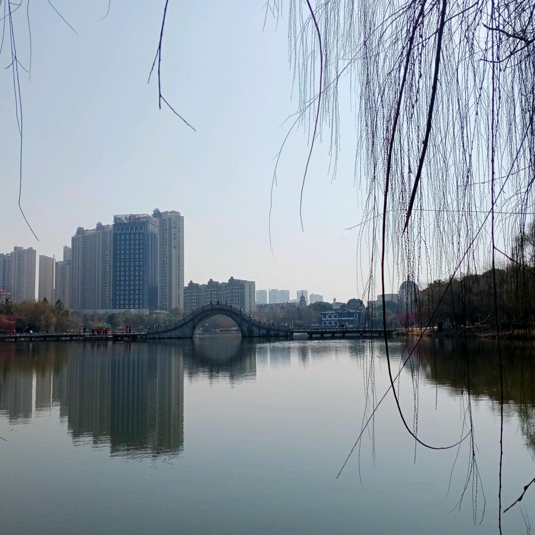 豆豆鱼🐟