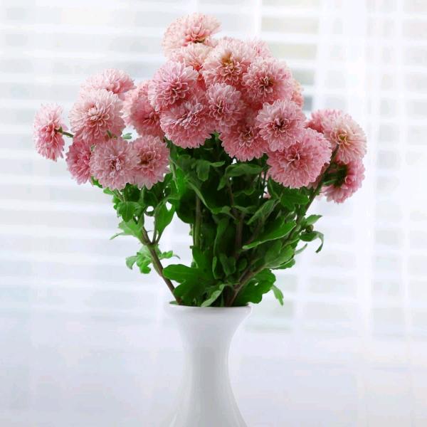 🥀₅²⁰于ོ众不同ོ¹ᶟ₁₄💕