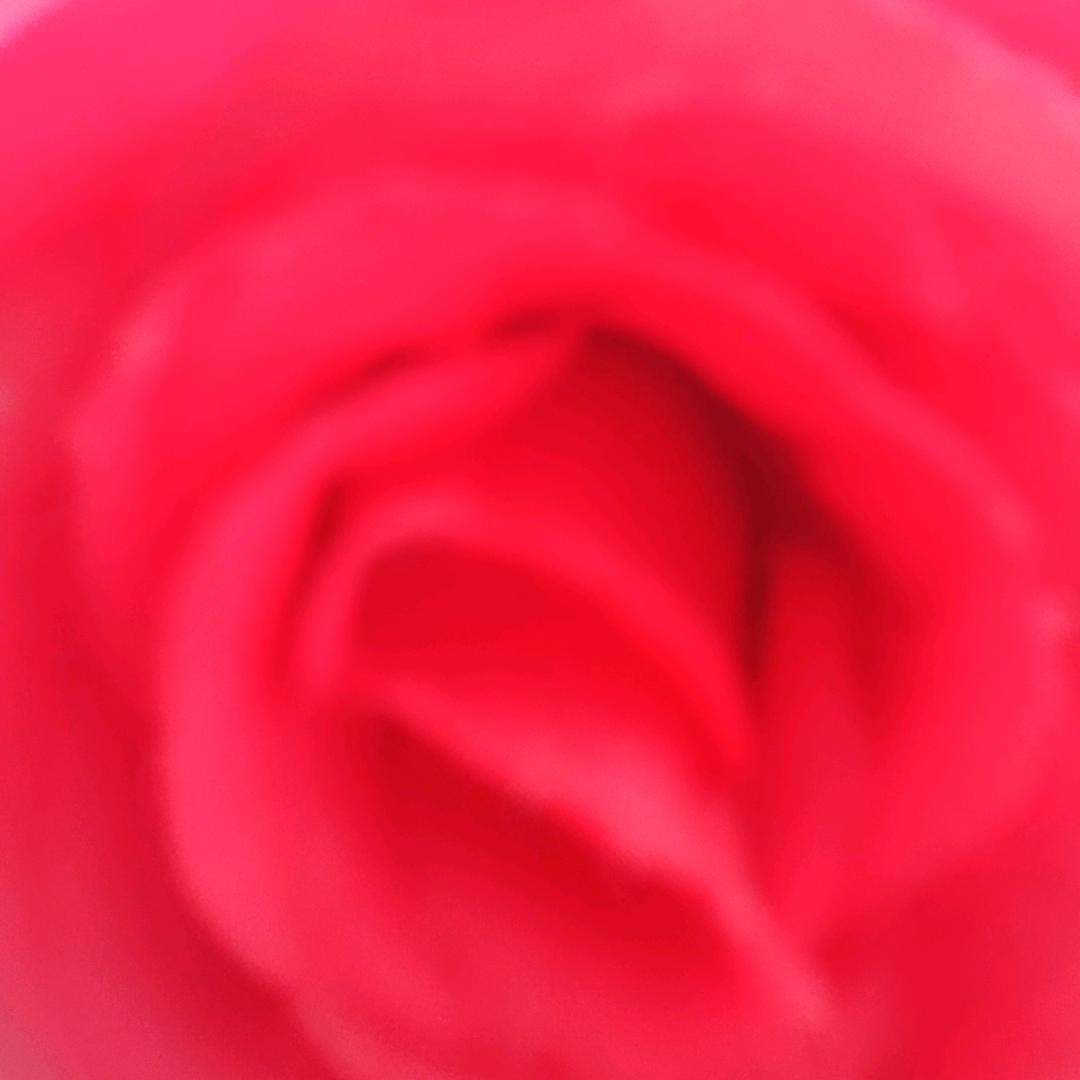 丰顺中药材种植