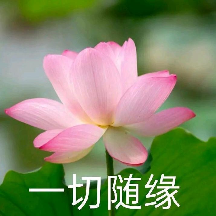 清风明月